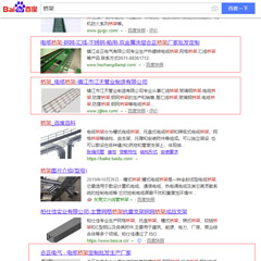 湖南客户网站排名优化案例